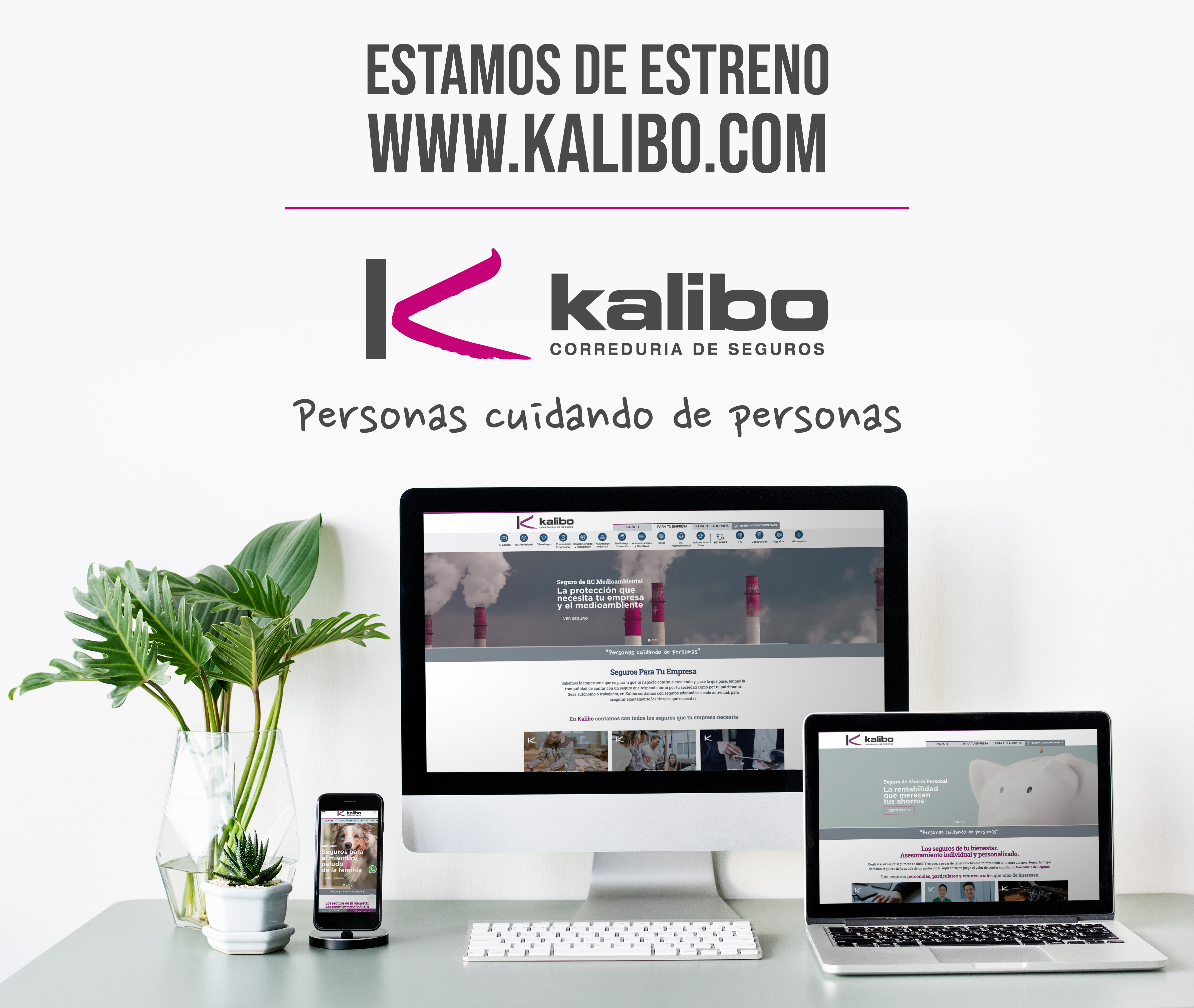nueva-web-panorama