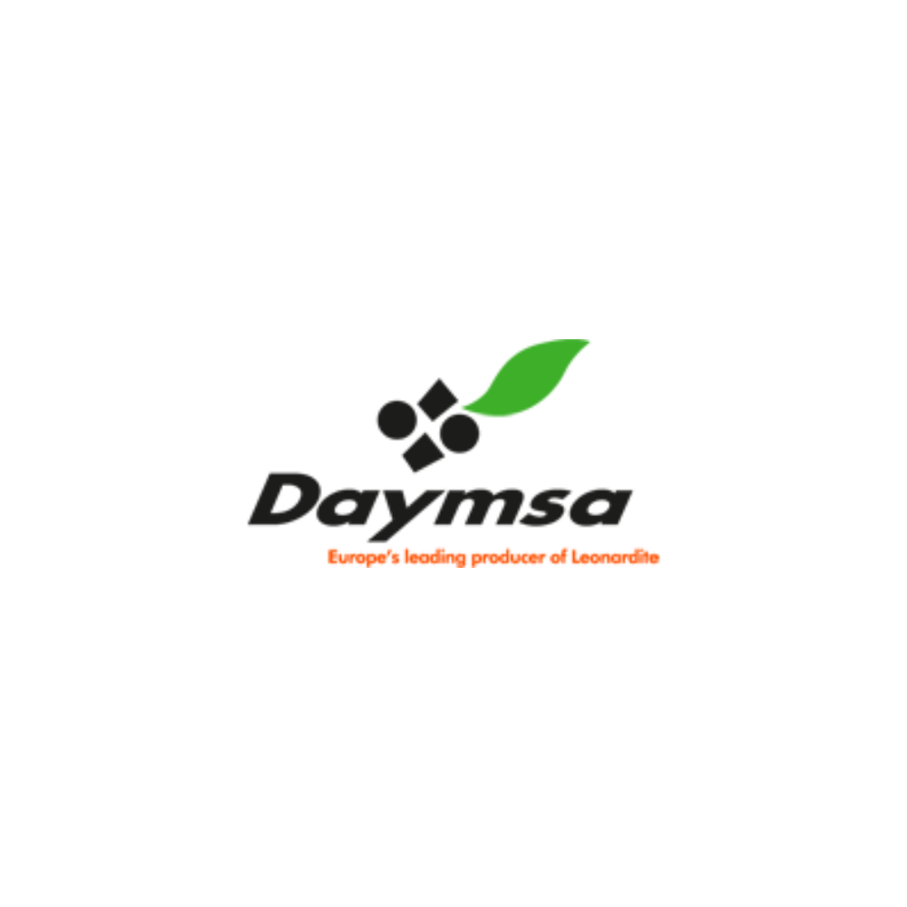 daymsa logo