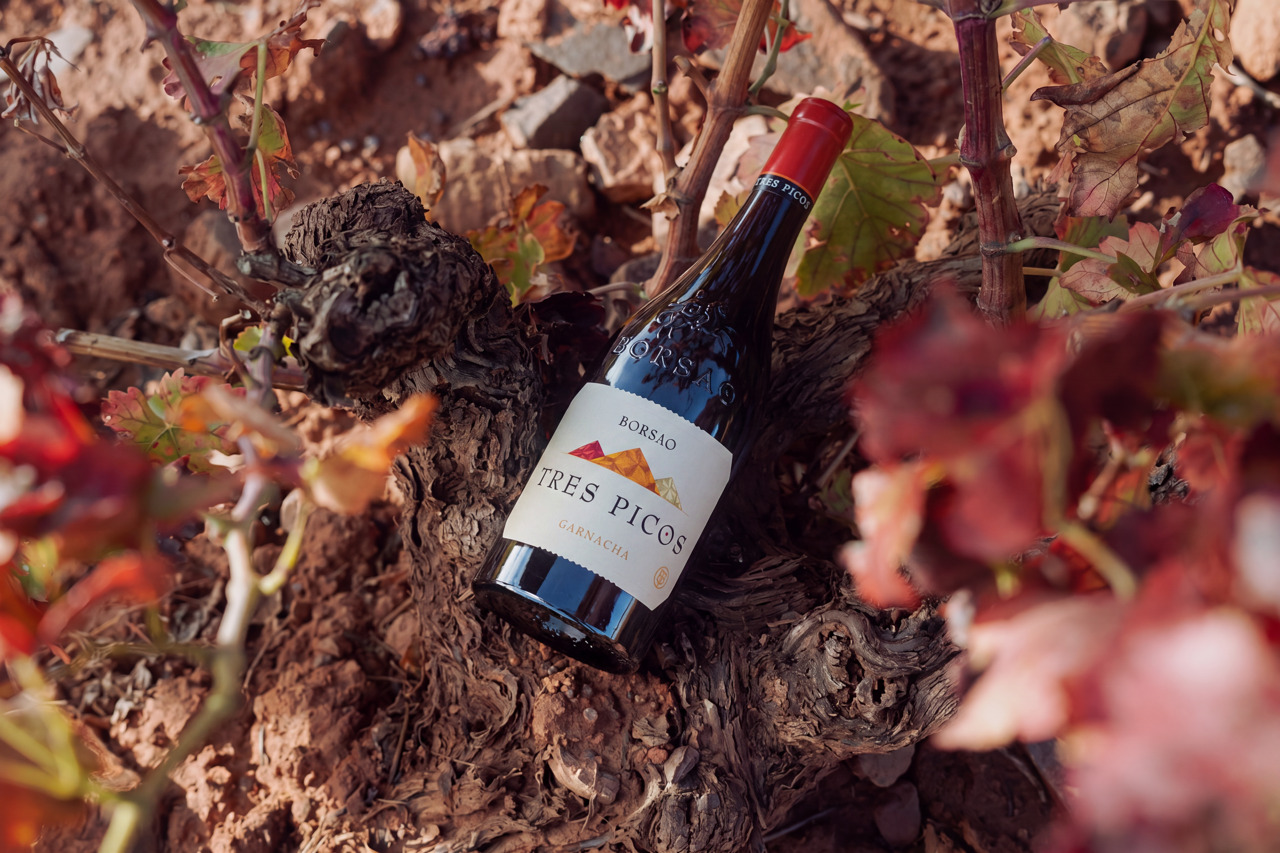 Borsao celebra el 25 aniversario de Tres Picos, su pieza más emblemática de la variedad Garnacha